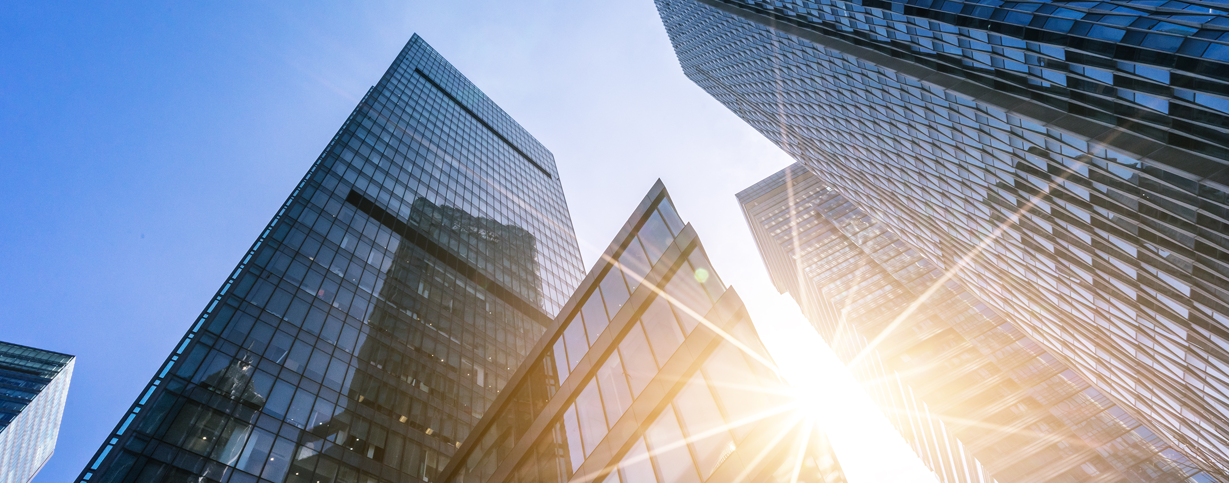 Lacuna_Home_Slider_images_03