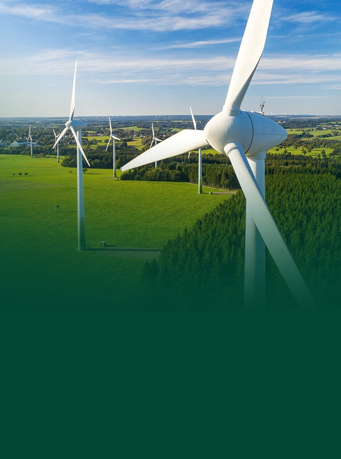 Lacuna Functional Films