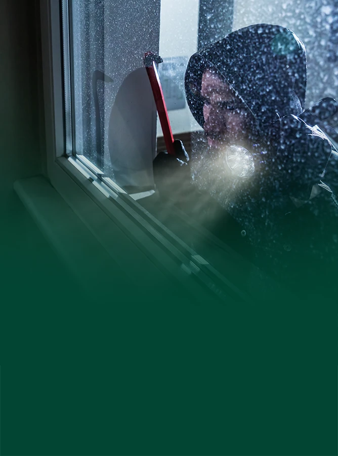 Lacuna Safety and Security Films