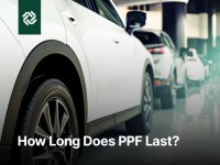 How Long Does PPF Last