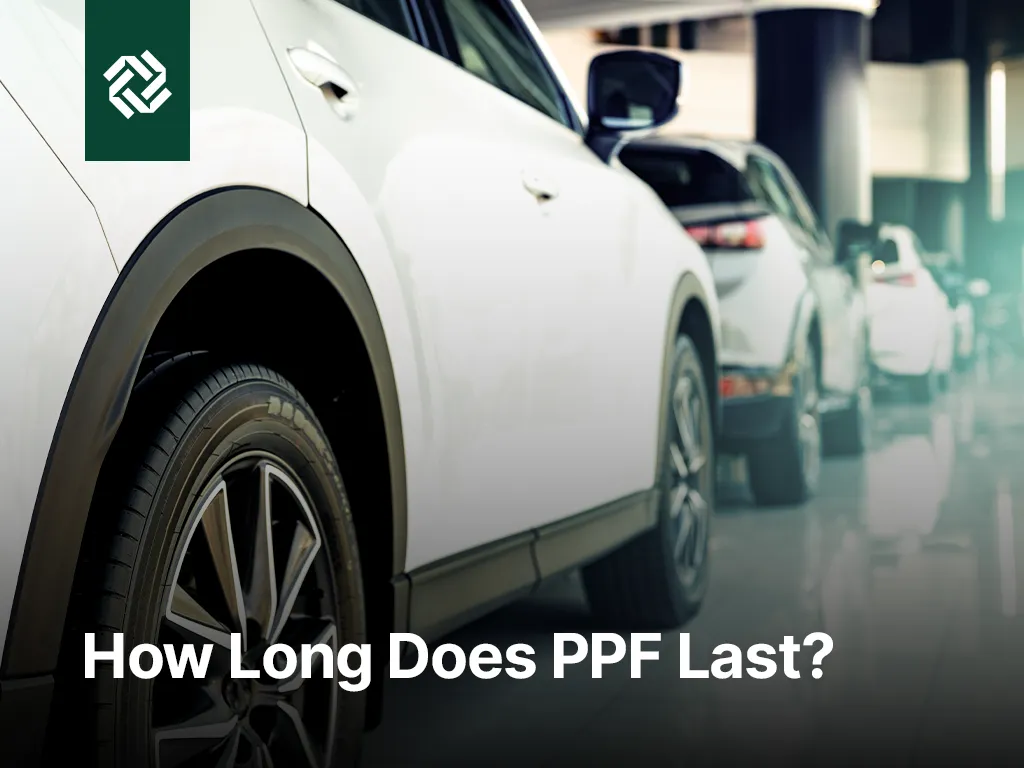 How Long Does PPF Last